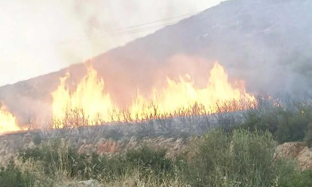 Νέο μέτωπο: Μεγάλη φωτιά τώρα και στο Μαρτίνο Φθιώτιδας